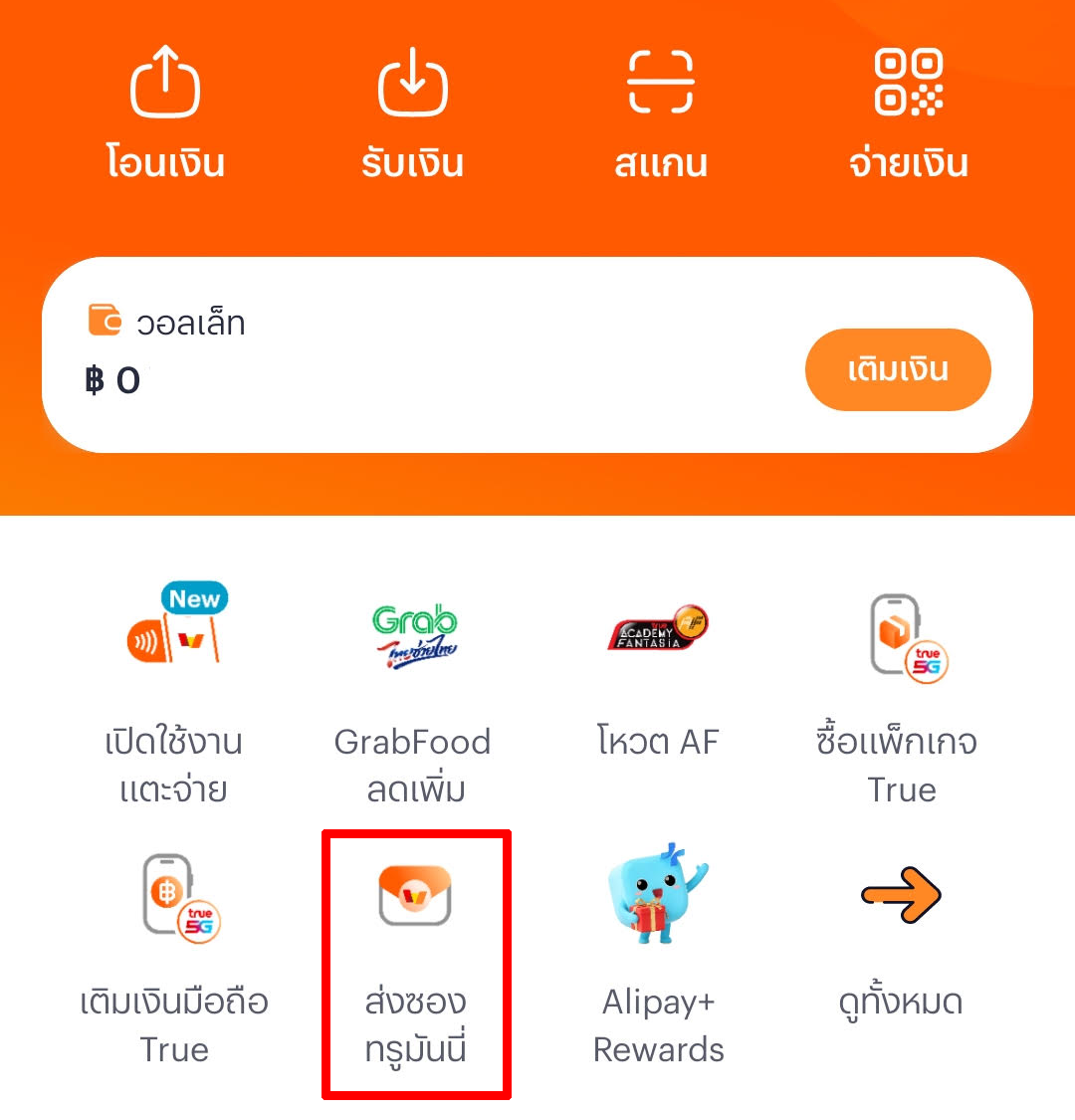 TrueMoney Guide